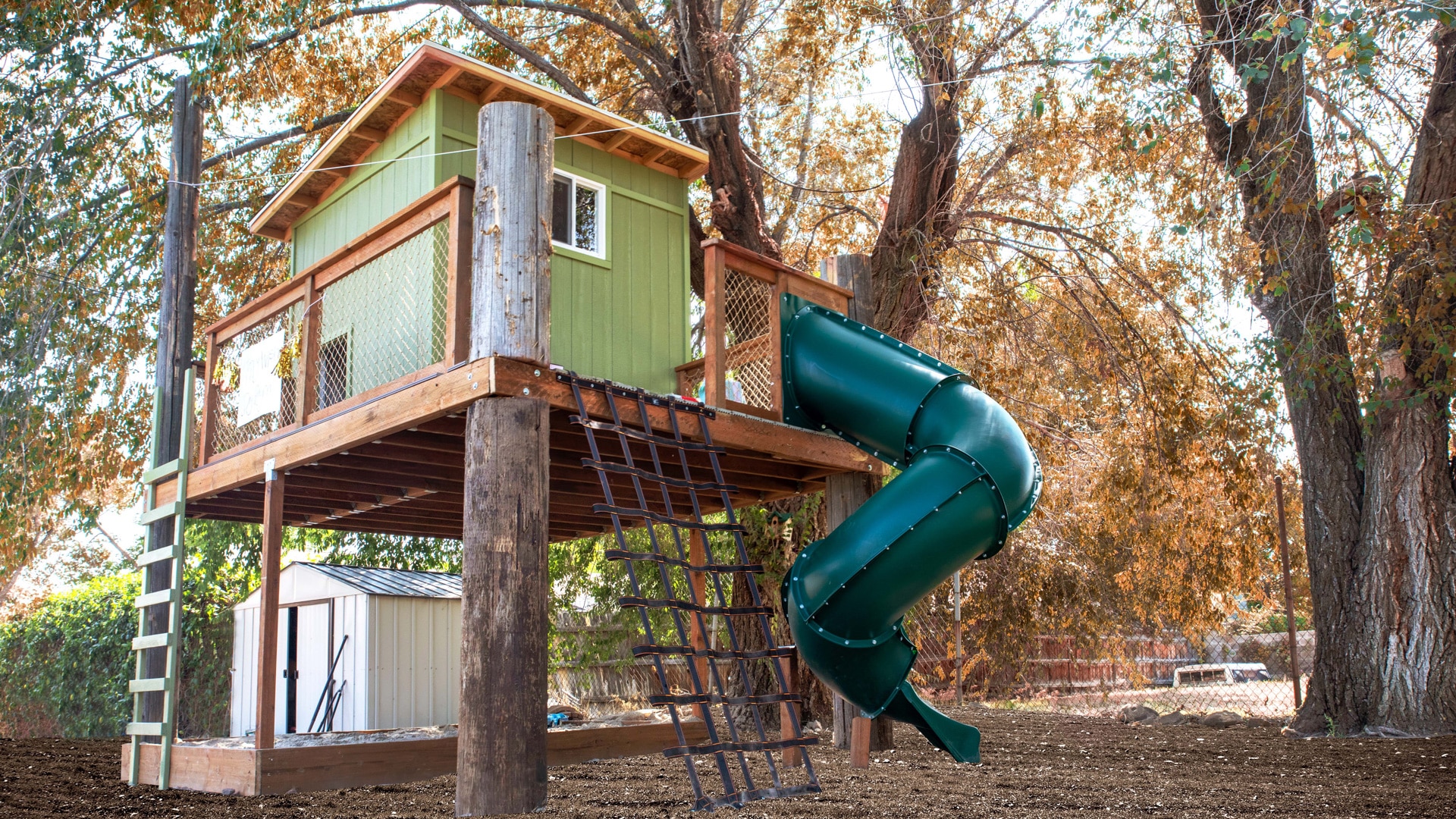 Tree House